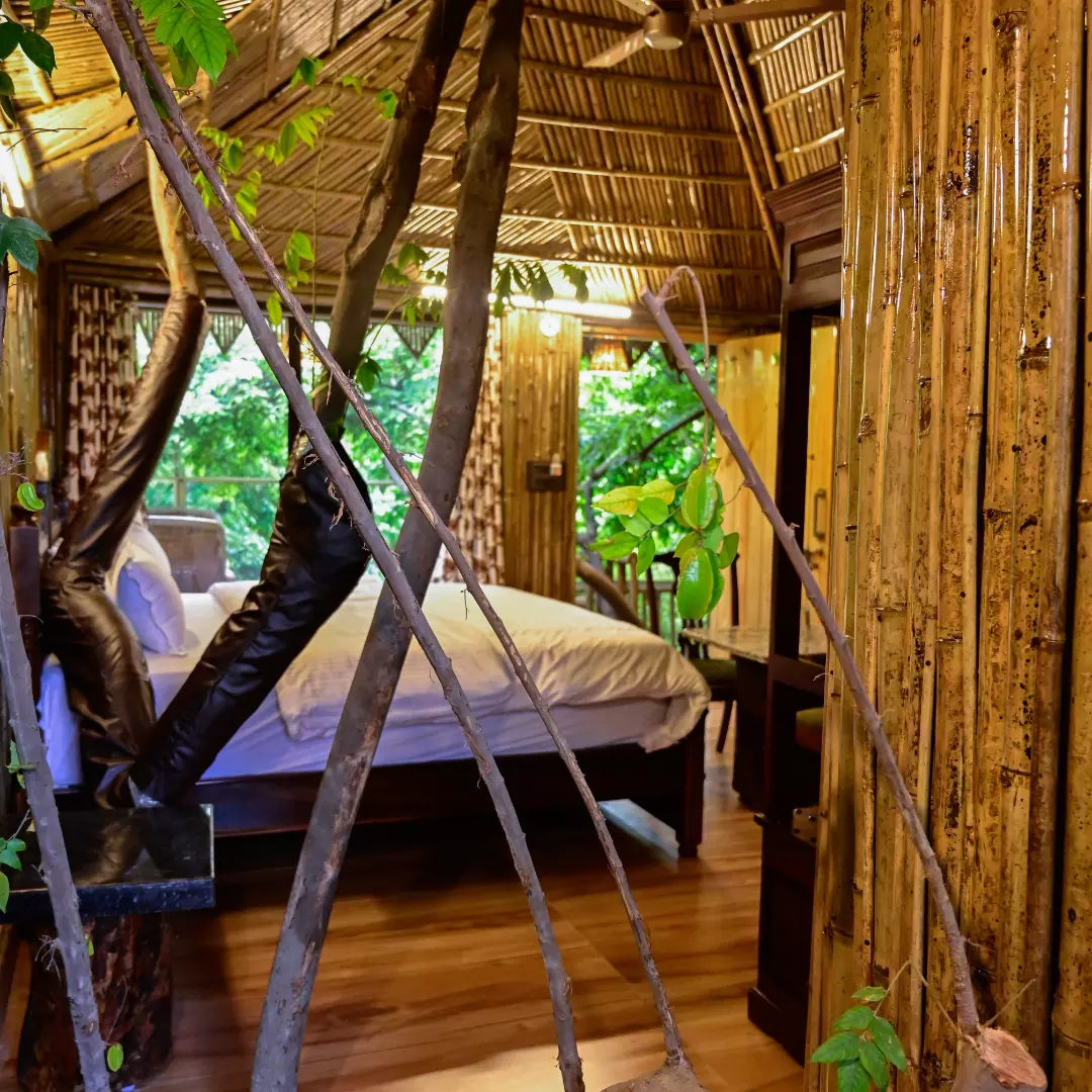 Tree House First - View 4